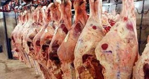 دعم الأعلاف سيخفض أسعار اللحوم.. وأسعار المستوردة ضعف المحلية
