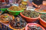 هيئة أوروبية توافق على اعتماد حشرات غذاء للبشر