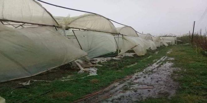 أضرار في البيوت المحمية والشبكة الكهربائية بطرطوس جراء العاصفة المطرية