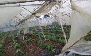أضرار في البيوت المحمية والشبكة الكهربائية بطرطوس جراء العاصفة المطرية