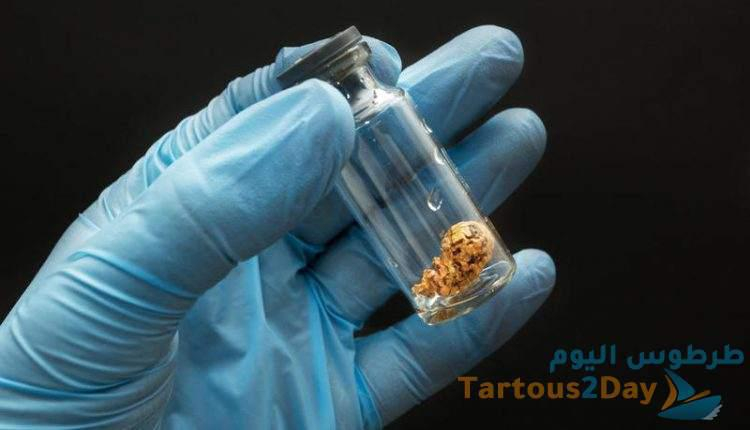 تجميد البويضات