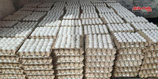طرح مادة البيض في صالات السورية للتجارة بحمص