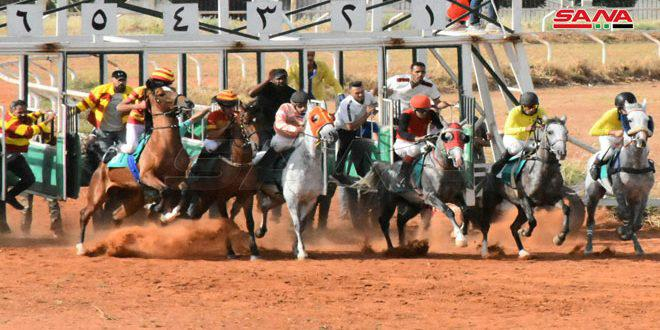 مشاركة واسعة ومنافسات قوية في السباق الدوري الثاني للخيول العربية الأصيلة بحماة