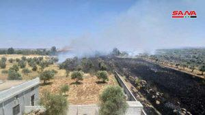 إخماد خمسة حرائق طالت أعشاباً يابسة وأشجاراً في حمص