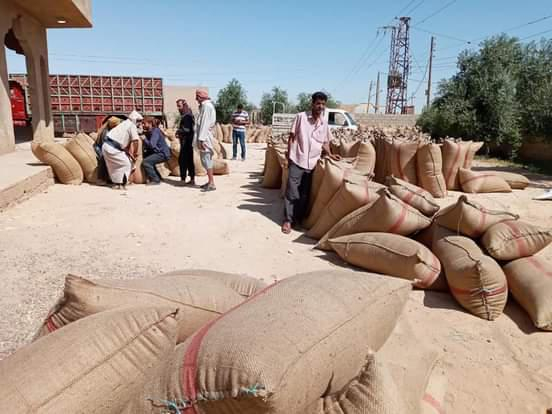 اللجنة الفرعية الزراعية بديرالزور تبحث واقع تسويق محصول القمح .