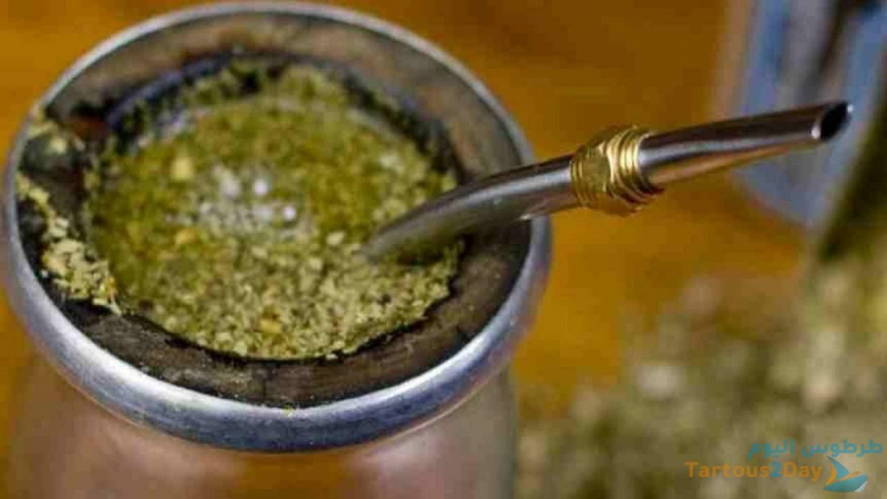 فوائد المتة : ما حقيقتها؟