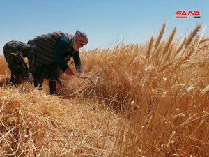 تحسن بالواقع الخدمي في مدينة الميادين بريف دير الزور