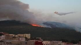 المغرب.. انحسار حرائق الغابات في ولاية شفشاون
