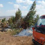 إخماد حريقي أعشاب يابسة وأشجار حراجية ومثمرة في ريف حمص