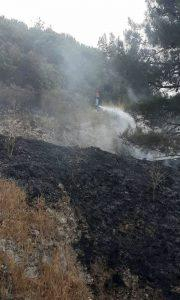 إخماد حريق أشجار حراجية وأعشاب يابسة في قرية المزرعة بريف حمص