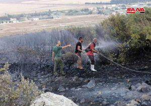 إخماد حريق اندلع في الحراج الجبلية في قرية الحيلونة بريف حماة الغربي