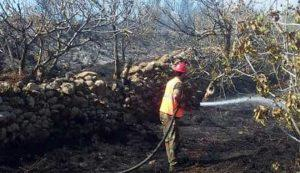 إخماد حريق في قرية الصويري بريف حمص الغربي