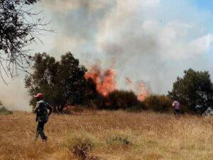 إخماد حريق بأشجار زيتون على امتداد 5 دونمات في أراضي شين بريف حمص