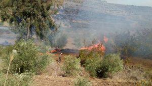 إخماد حريق طال 180 شجرة زيتون في بلدة شين بريف حمص