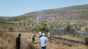 إخماد حريق طال 180 شجرة زيتون في بلدة شين بريف حمص