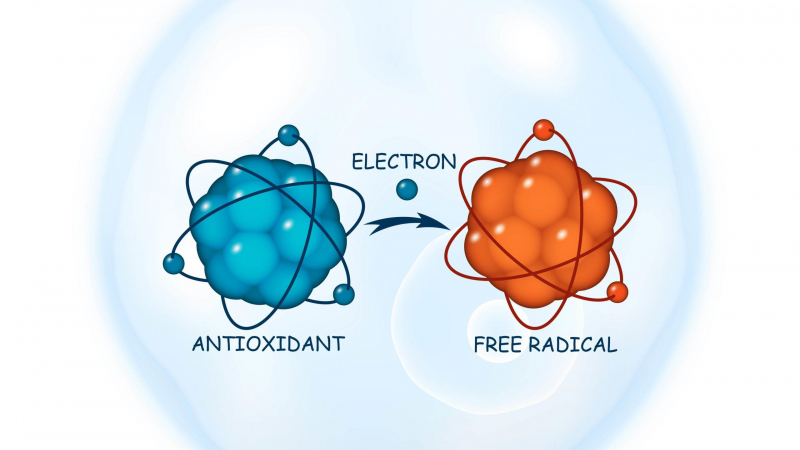 كيف تؤثر الجذور الحرة في جسدك؟