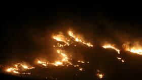 حريق كبير في جنوب لبنان ومناشدات للمساعدة السريعة  (فيديو)