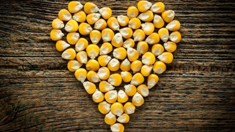 تقليل خطر الإصابة بأمراض القلب