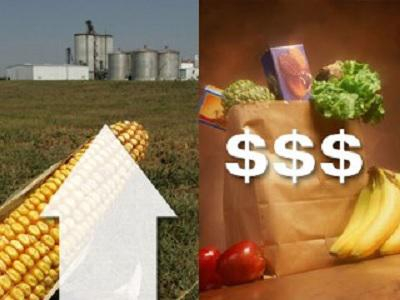 «فاو»: أسعار الغذاء العالمية تستقر قرب أعلى مستوياتها بسبب الحرب في أوكرانيا
