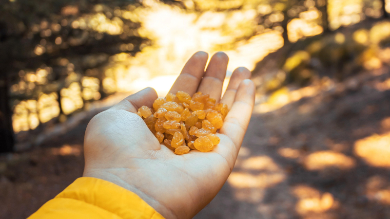 من المهم اعتماد الزبيب كجزء من نظام غذائي صحي