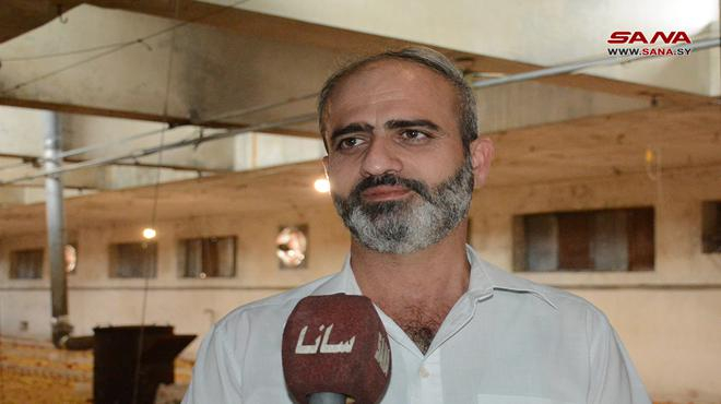 منشأة دواجن اللاذقية تعود إلى العمل