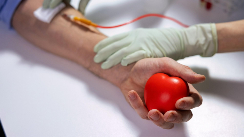 فصائل الدم وعملية التبرع.. كيف؟