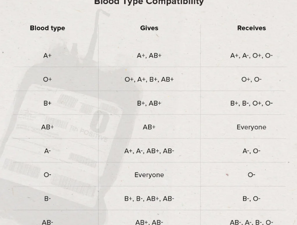 جدول توضيحي لفصائل الدم والتطابق بينهما