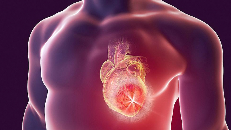 اكتشاف تقنية جديدة قد تكون مفتاح علاج أمراض القلب