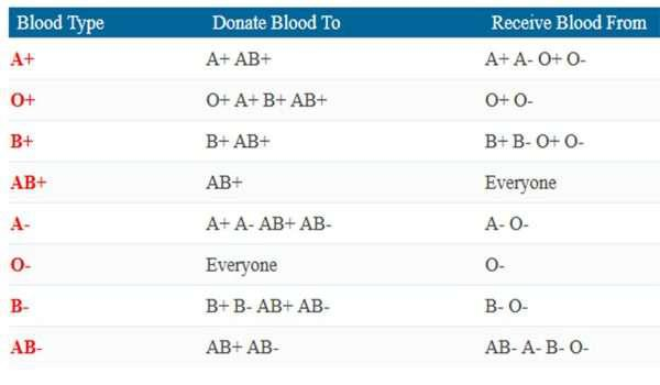 انواع فصائل الدم وكيف يتم تصنيفها؟