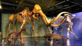 متى انقرضت الديناصورات؟