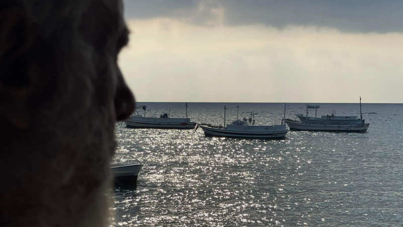 أيمن زيدان يستعيد ذكريات مسلسل نهاية رجل شجاع والجمهور يتفاعل معه (صورة)