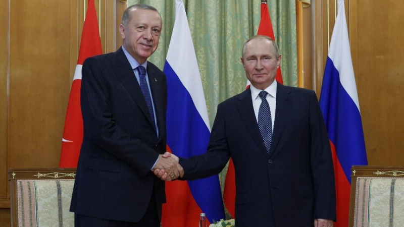 الرئيسان الروسي والتركي فلاديمير بوتين ورجب طيب أردوغان