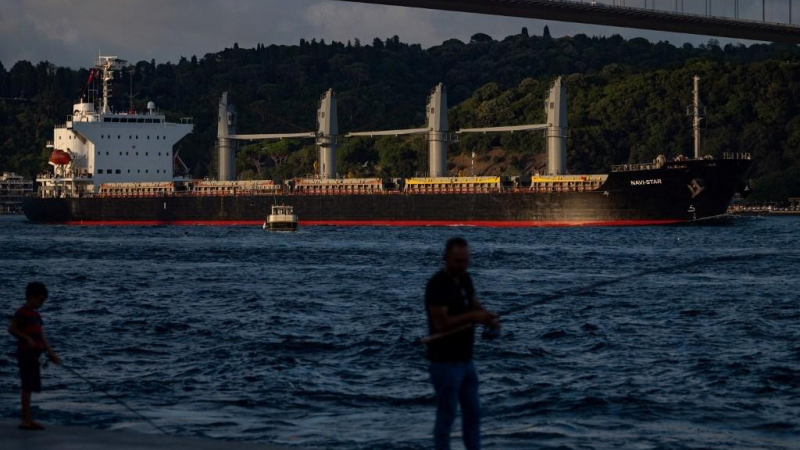 سفينة ترفع علم بنما وتحمل أطنانًا من الحبوب القادمة من أوكرانيا 7 آب/ أغسطس 2022 (أ ف ب).