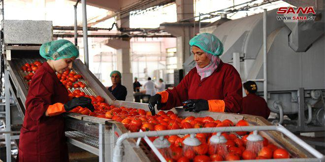 تستهدف 14 ألف طن من البندورة… كونسروة دمشق تنوع منتجاتها من الخضار والفواكه