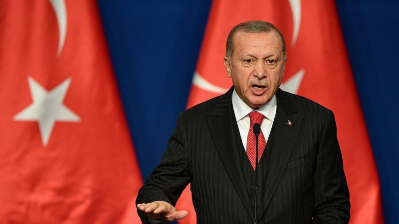 إردوغان يعلن القبض على قيادي كبير في تنظيم الدولة الإسلامية