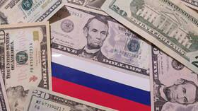 خبير أمريكي: الدولار تصدّع بسبب العقوبات المفروضة على روسيا