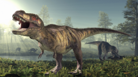 هل كانت الديناصورات عرضة للفناء قبل اصطدام النيزك الناري المعروف بالأرض؟