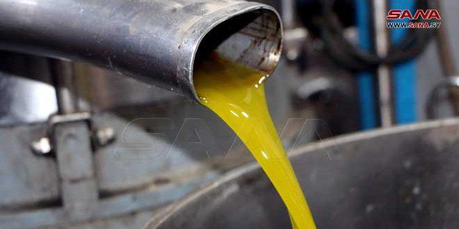 أمثال شعبية تجسد أهمية وفوائد زيت الزيتون في درعا