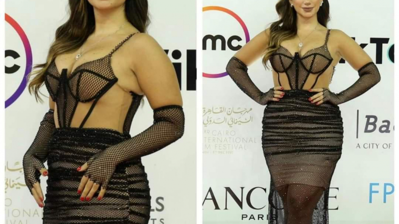 هبة السيسي تضرب بـ