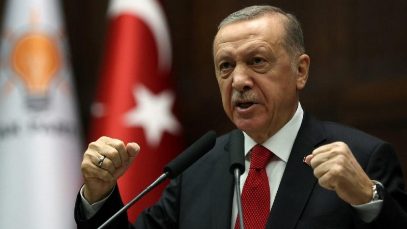 الرئيس التركي رجب طيب إردوغان (أ ف ب)