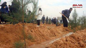 احتفالاً بعيد الشجرة… زراعة 3 آلاف شجرة حراجية بدير الزور