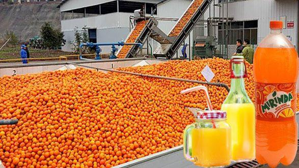 التكنولوجيا الجديدة لصناعة العصائر تبشر بتنويع وزيادة الإنتاج