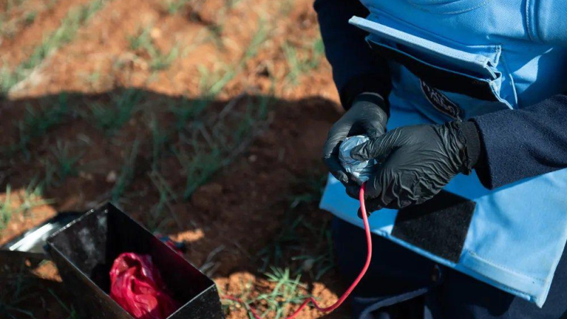 إنقاذ الأرواح وتمكين النساء: لما حاج قدور في مواجهة الموت الصامت شمال سوريا