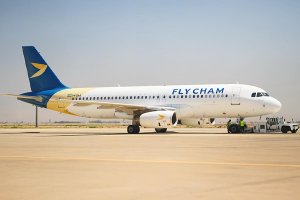 « فلاي شام» تطلق خطاً جوياً مباشراً بين دمشق و مرسين التركية 