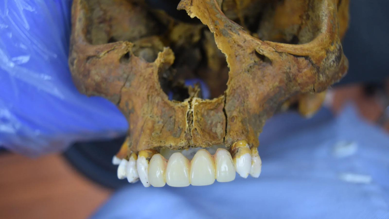 WhatsApp Image 2025-12-04 at 3.48.36 PM.jpeg