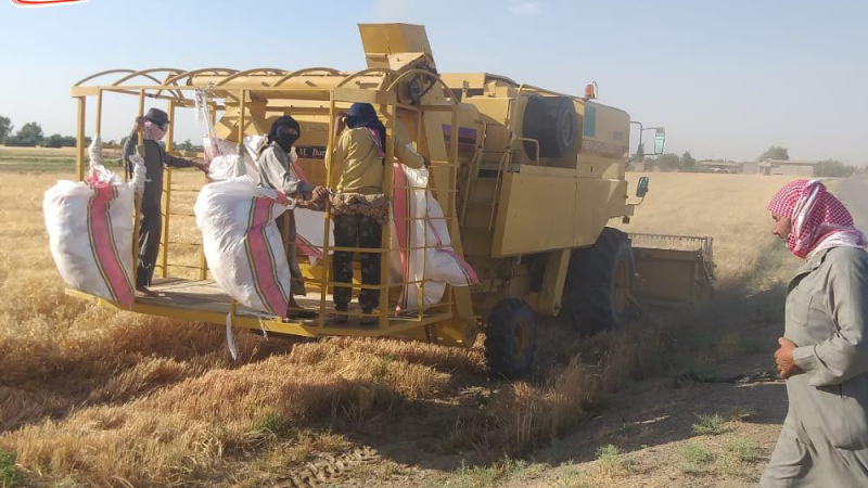 صوت الناس يُصلح الطريق: استجابة رسمية بعد فضح تنفيذ سيء بمخيم درعا
