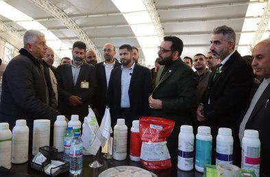 انطلاق فعاليات معرض الزيتون 2025  في إدلب