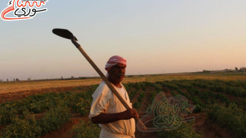 مؤسسة الآغا خان تفتح باب التقديم لمنح الدراسات العليا لعام 2026–2027