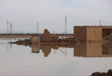 عملاً بمبدأ “الجار قبل الدار”.. تصدير 400 طن من لحوم الضأن للمستهلك الأردني