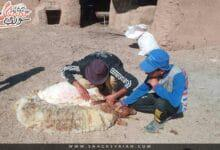 نزع الملكية السياسية عن أسماء الأماكن العامة .. نهاية البعث والأسد والرئيس